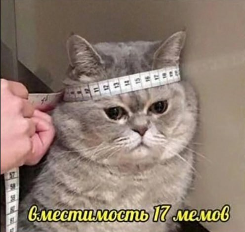 1777062056468.png