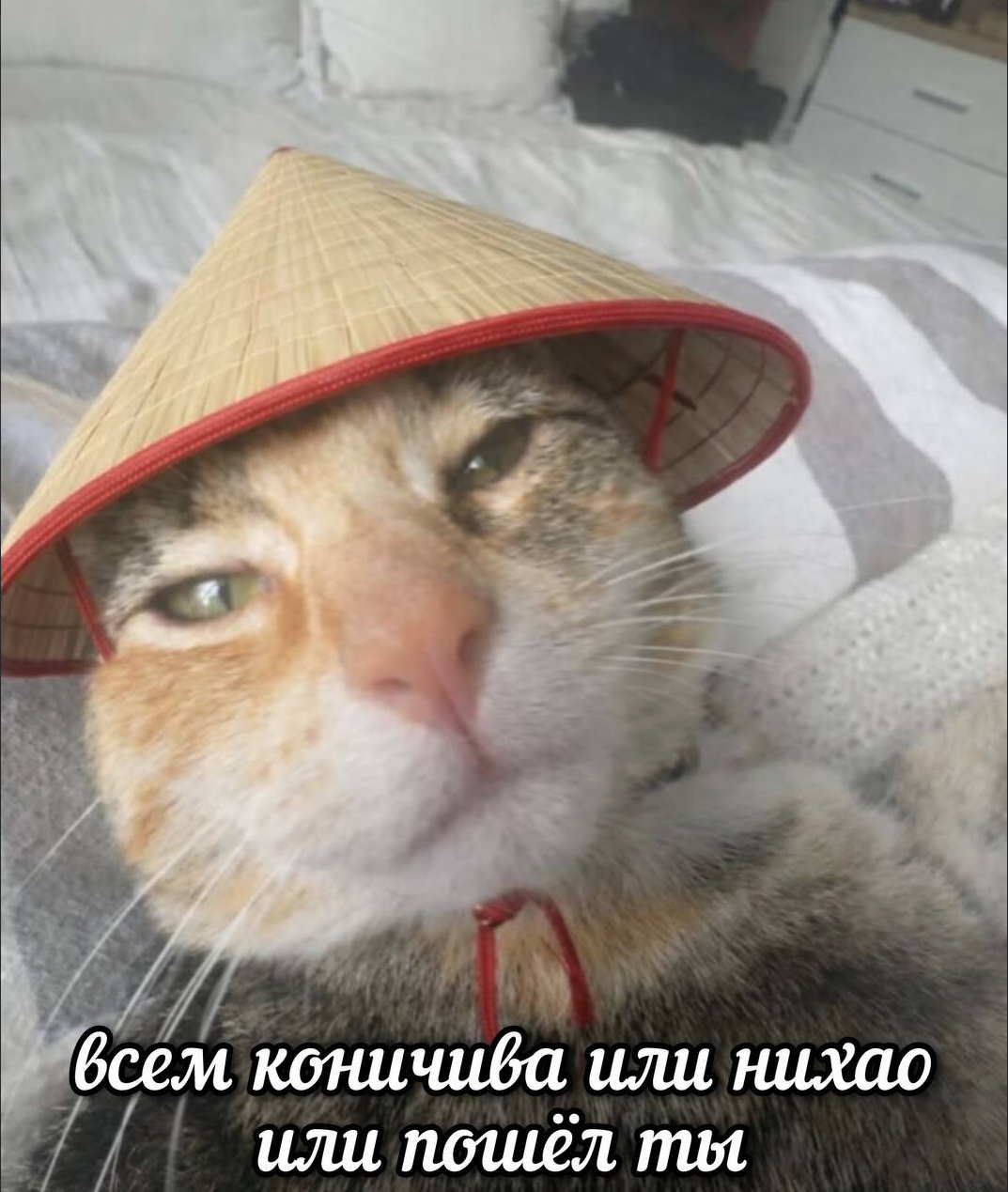 1777109732938.png
