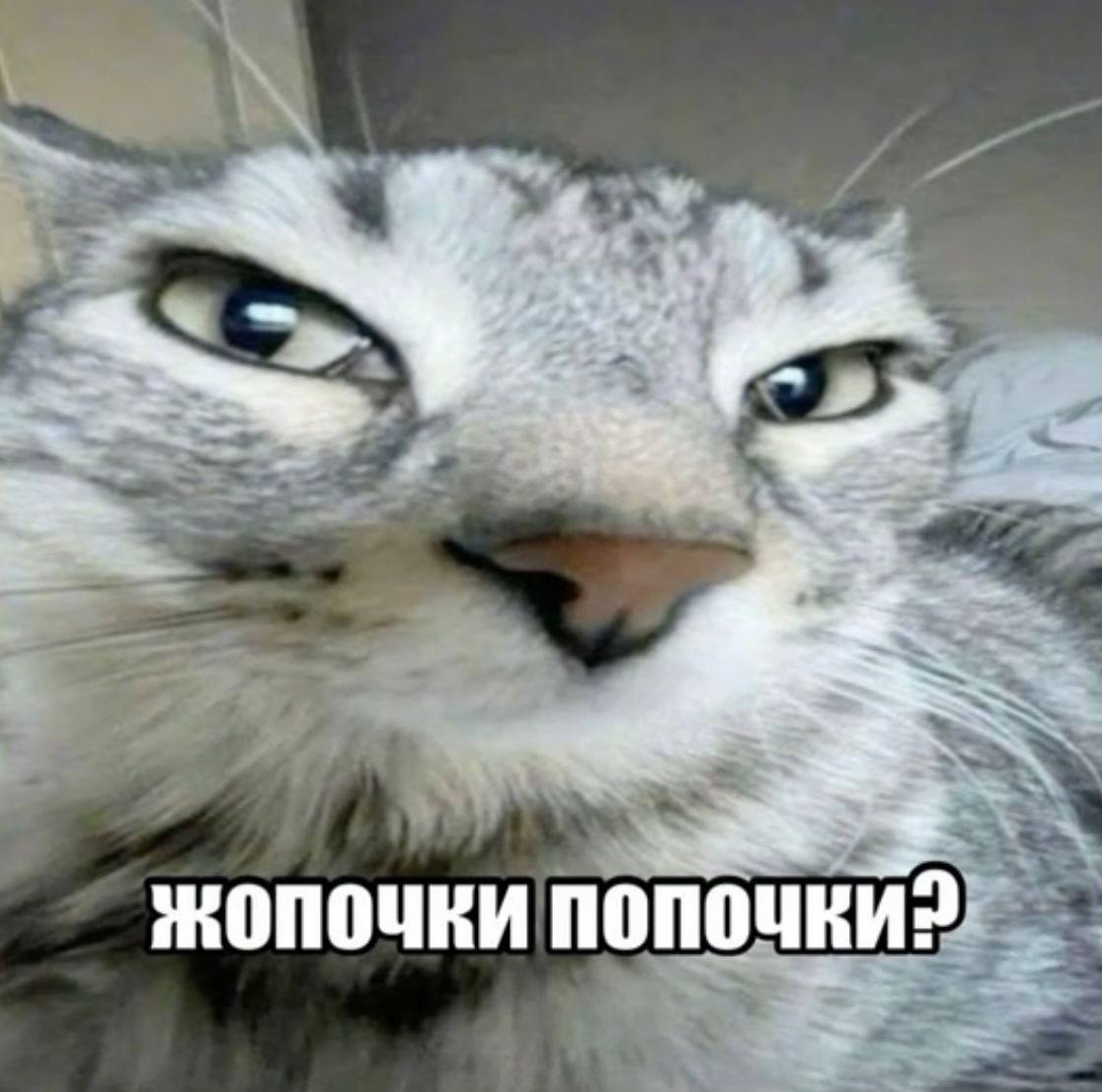 1777212103669.png