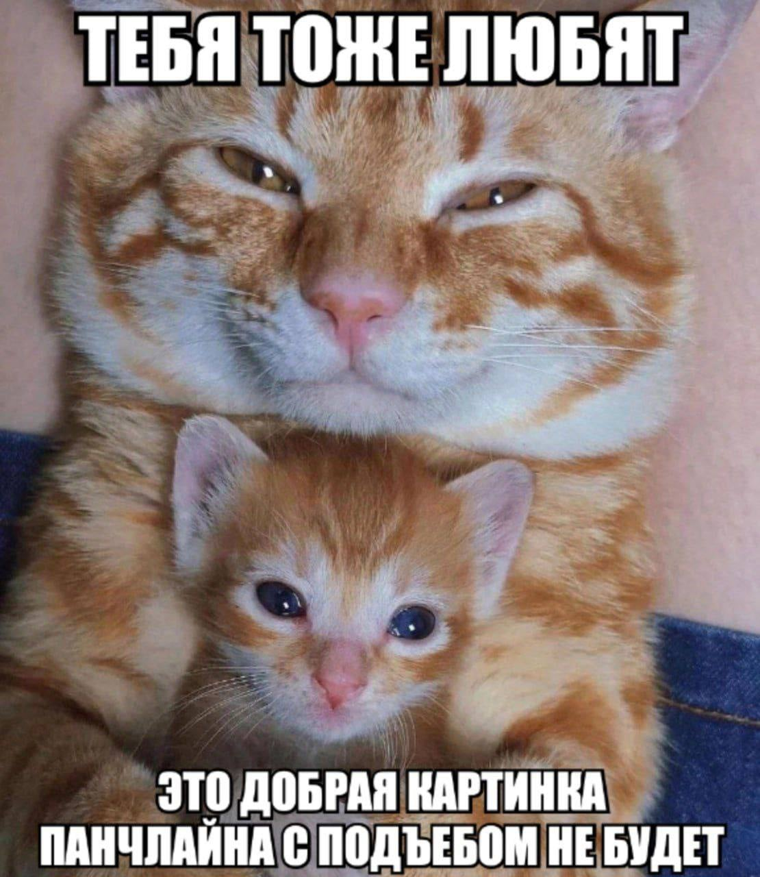 1777475999944.png