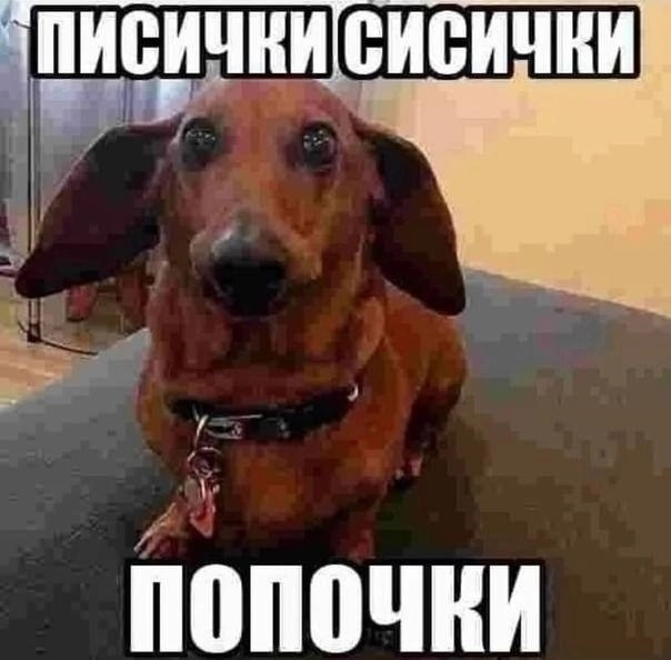 1777564116074.png
