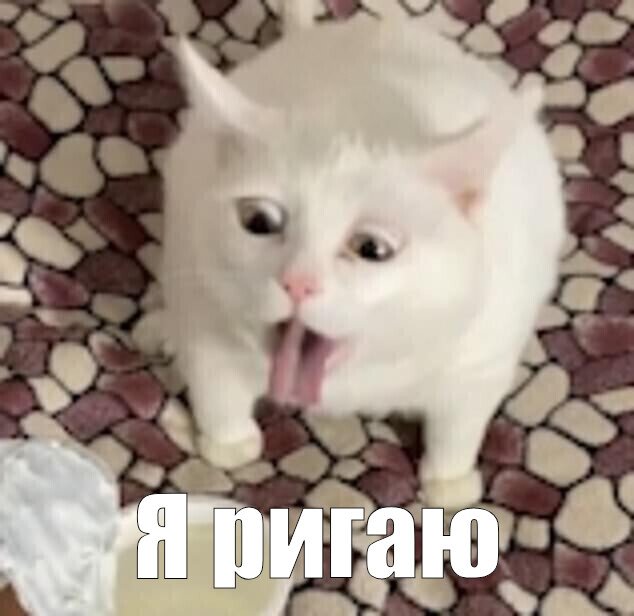 1777814570178.jpeg