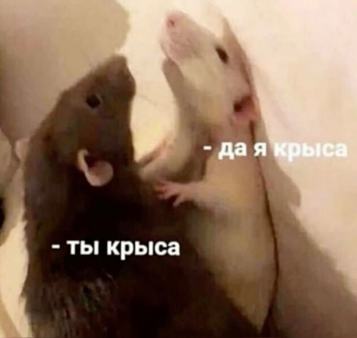 1778052144618.png