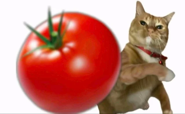 1778076763105.png