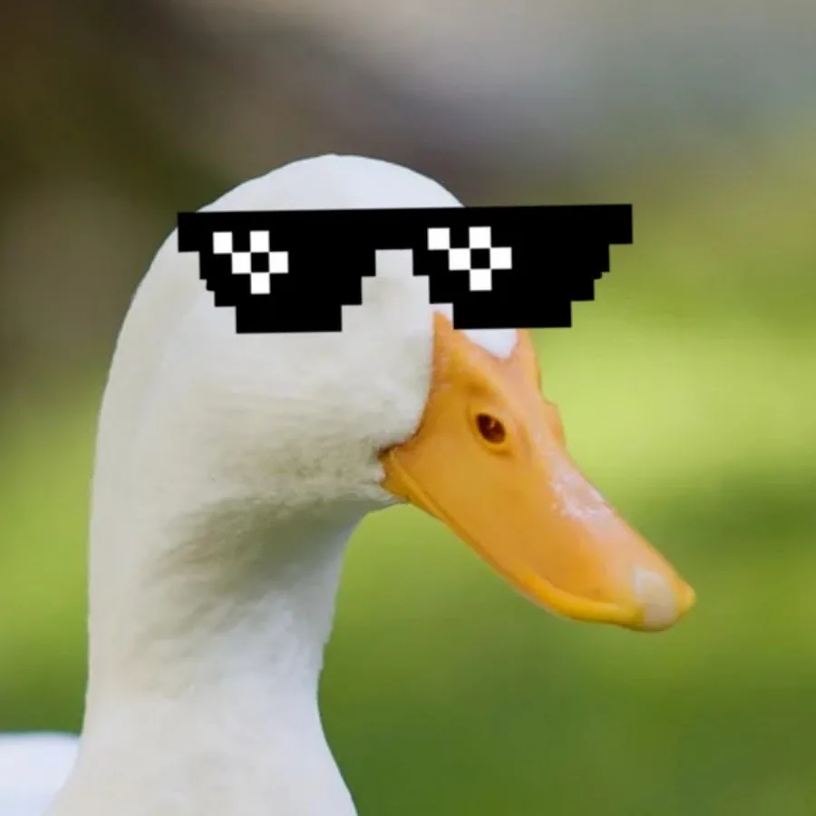 1778078000530.png