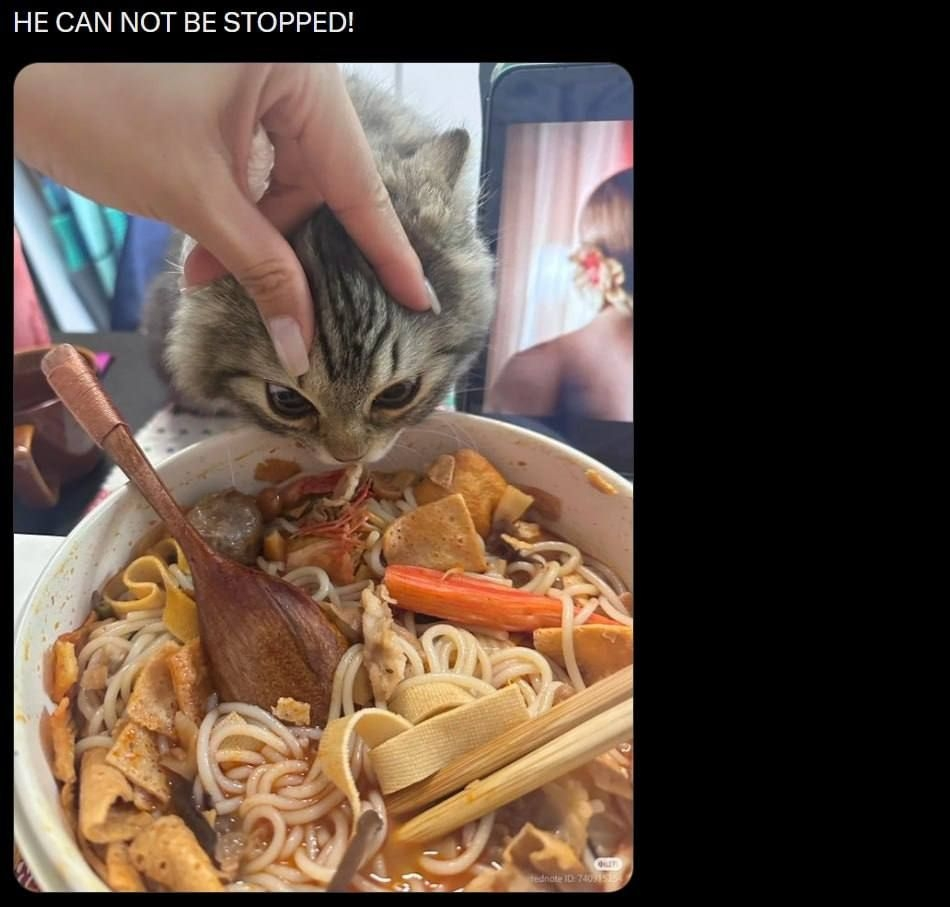 1778232926338.png
