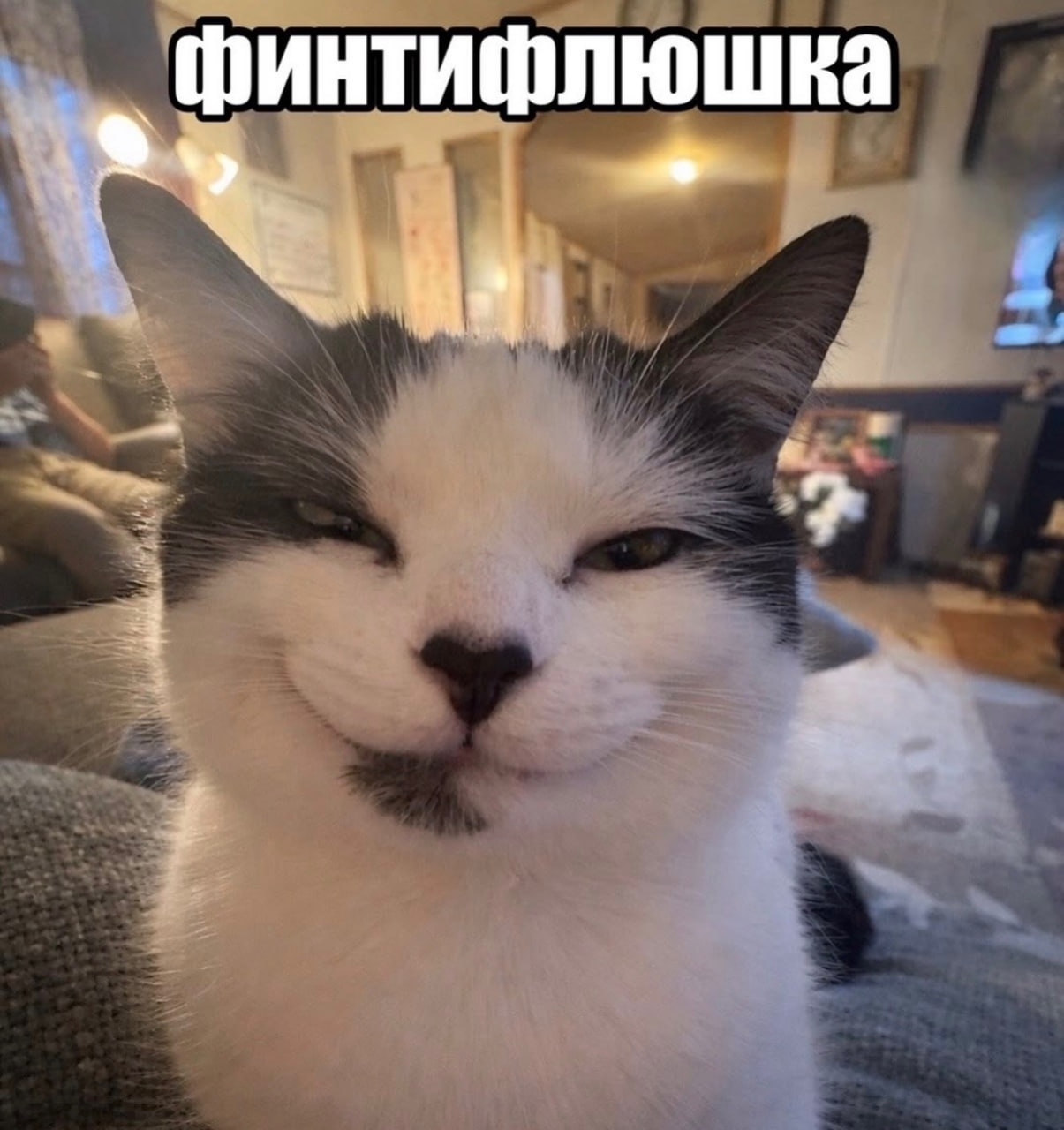 1778315549240.png