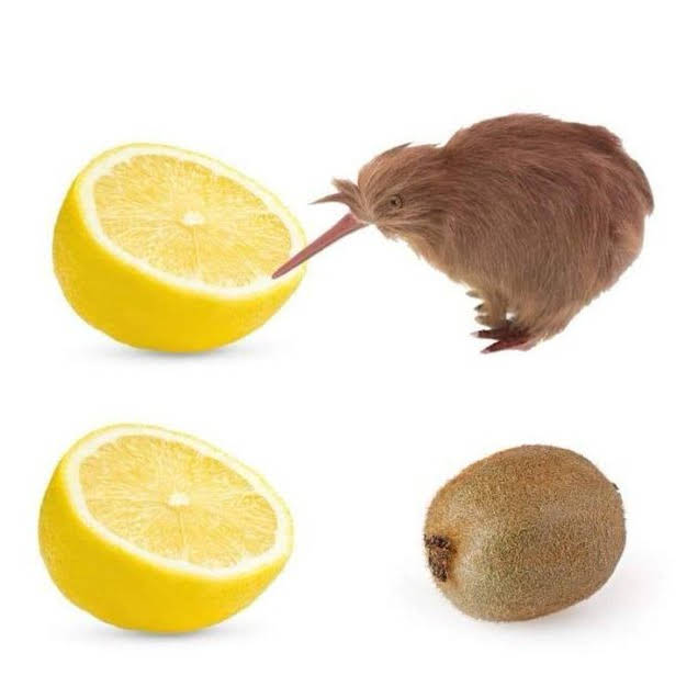 1778326798449.png