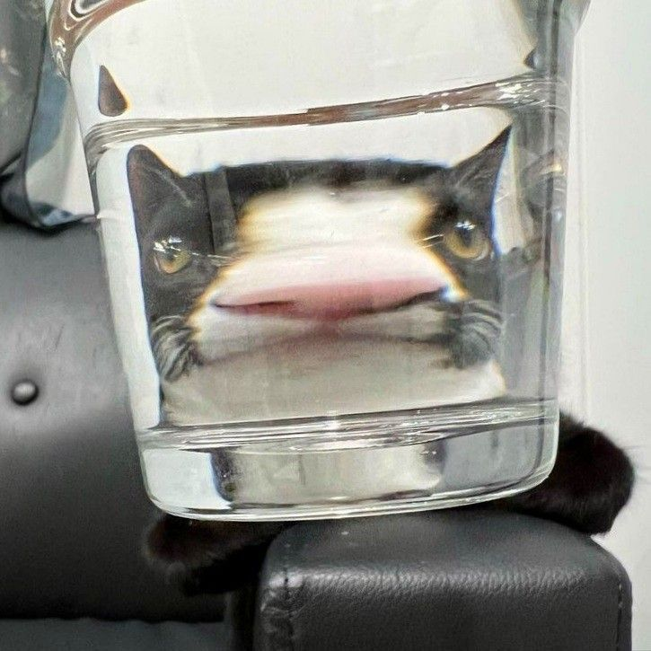 1778428108575.png