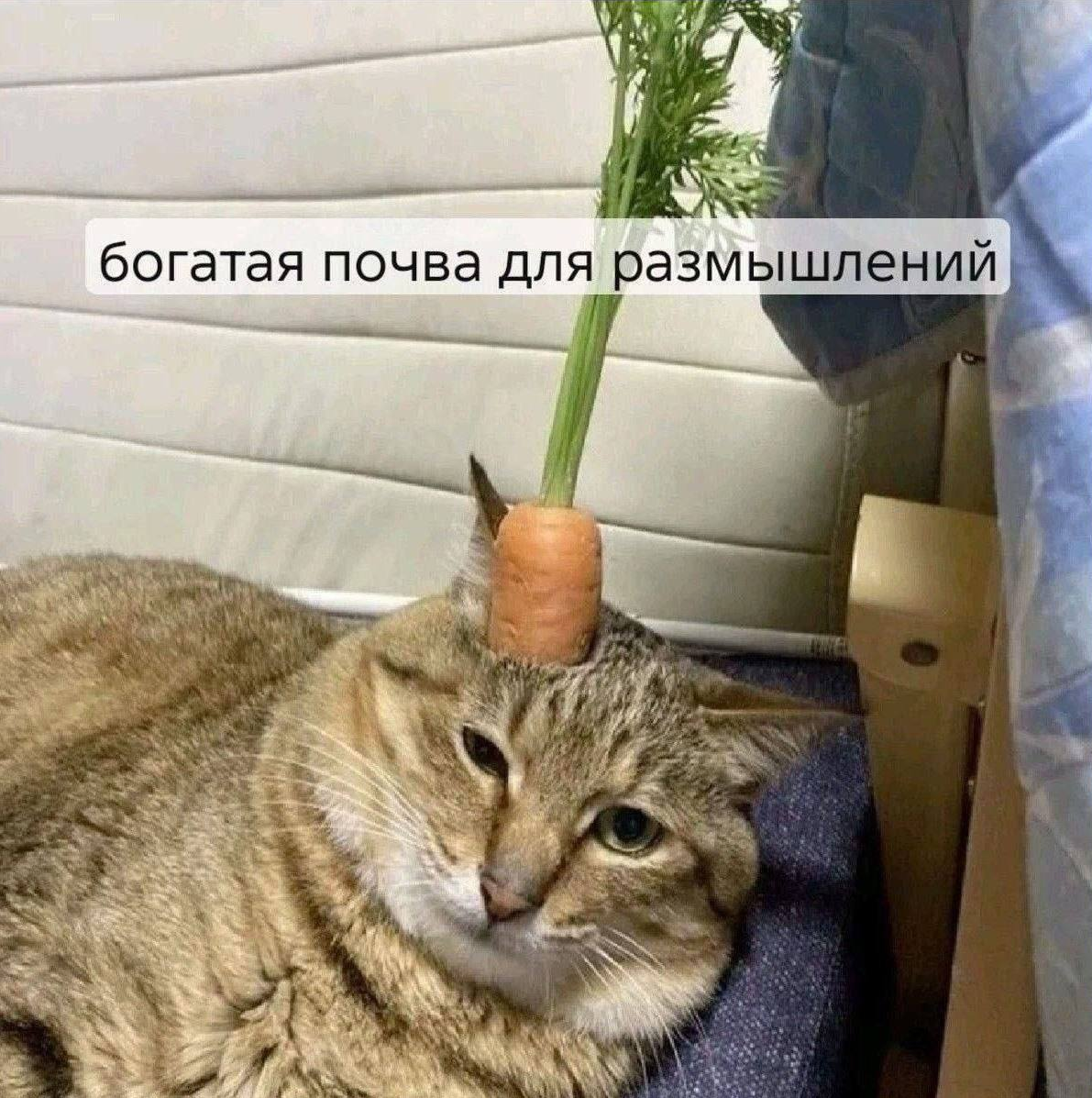 1778428358811.png