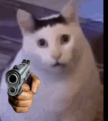 1778484847439.png