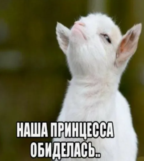 1778515470210.png