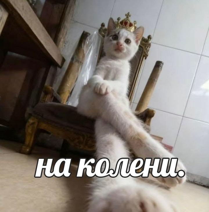 1778604574708.png