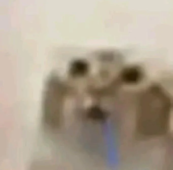 1778607544927.png