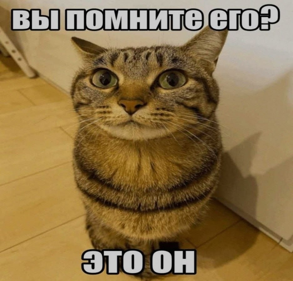 1778707096575.png
