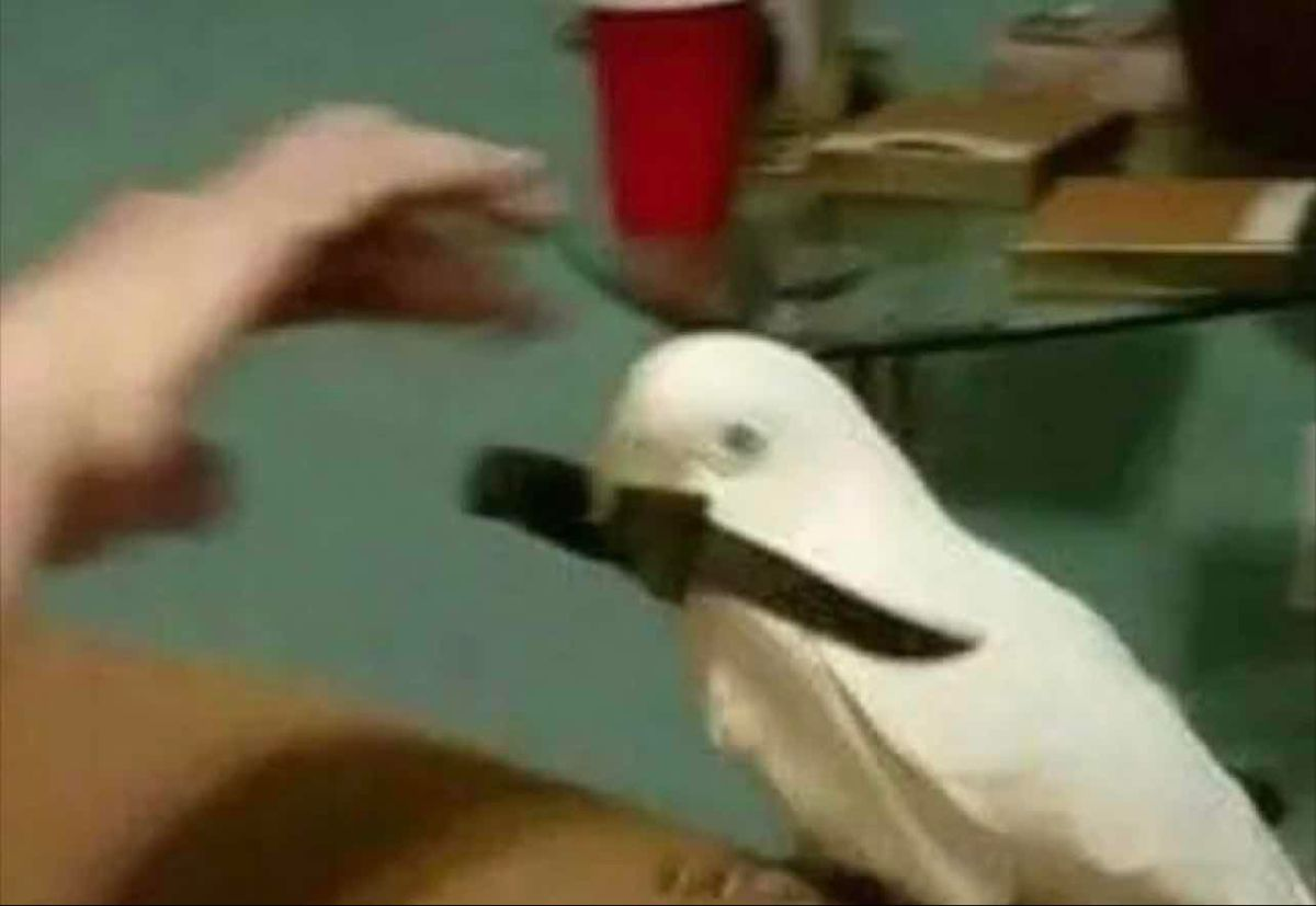 1778749521963.png