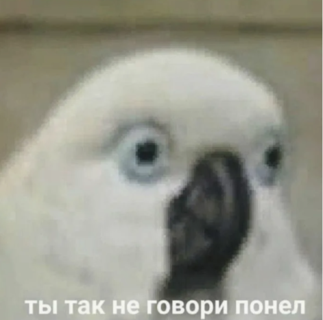 1778749704285.png