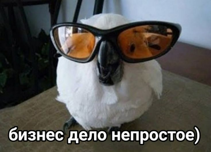 1778759505123.png