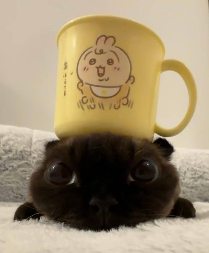 1778763251817.png
