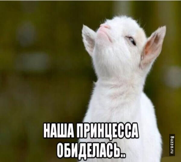 1778771254108.png