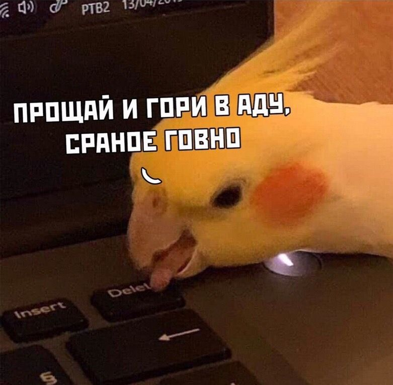 1778775949122.png