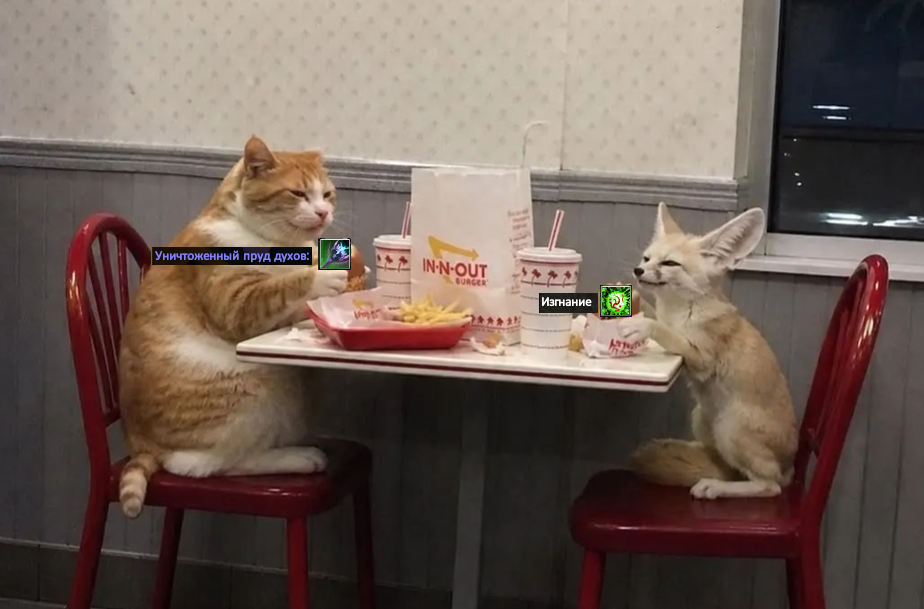 1778837402556.png