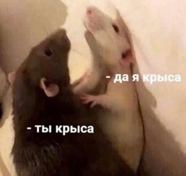 1778860511920.png