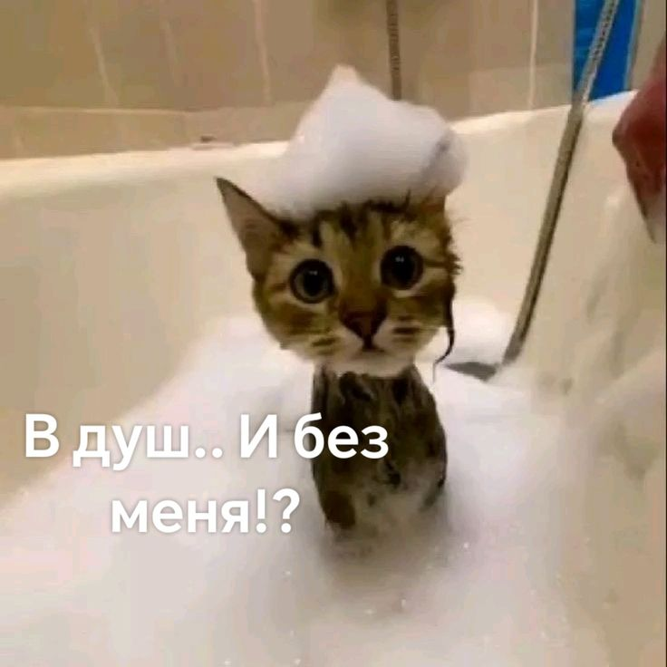 1779039234128.png