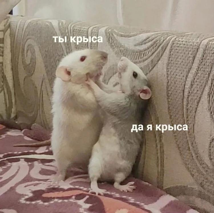 1779141397413.png