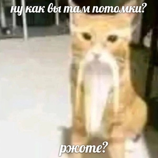 1779222992865.png