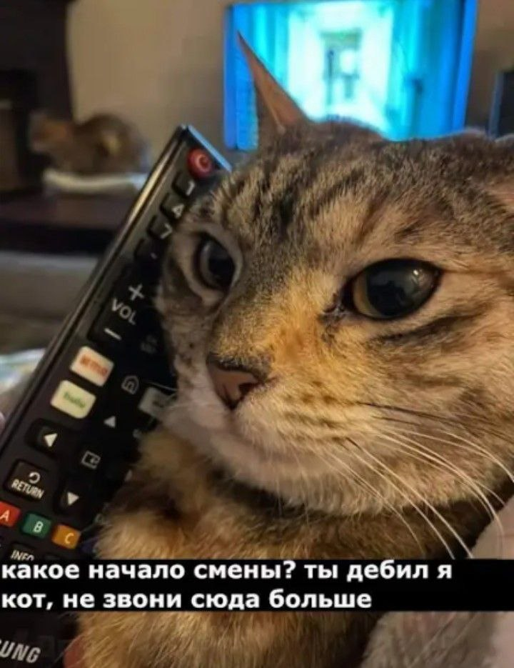 1779338441806.png