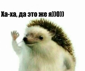 1779460919686.png