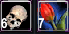 1779688828224.png