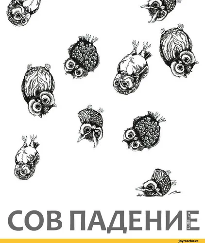 1779710495901.png