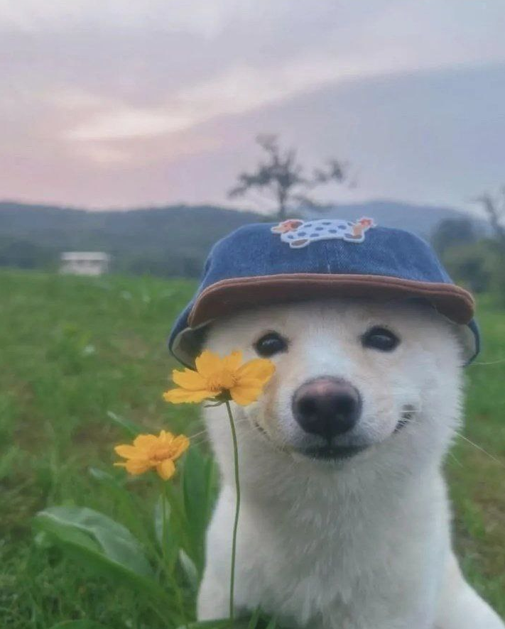 1779710784247.png