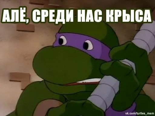 1779779226330.png