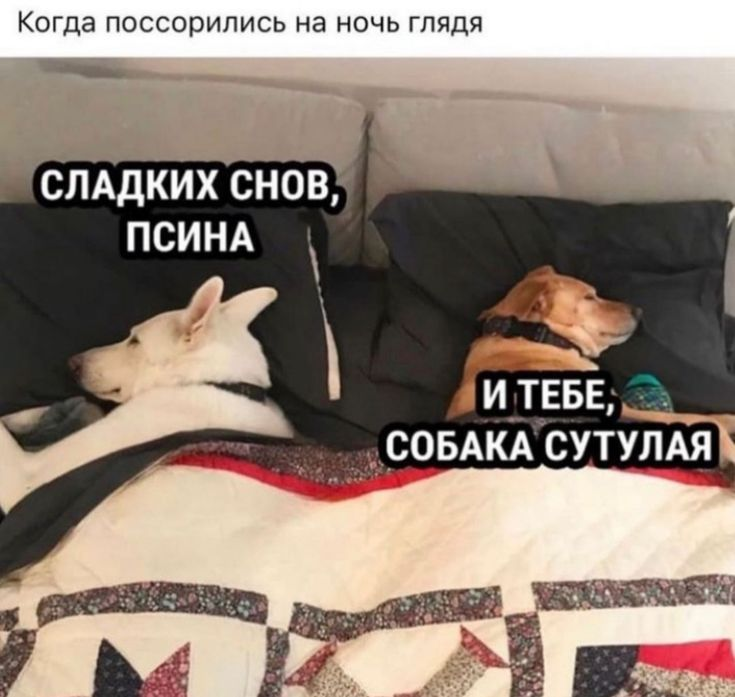 1779795881256.png
