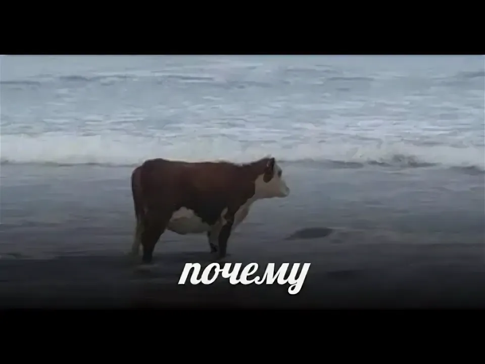 1779864056358.png
