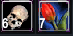 1779864429925.png