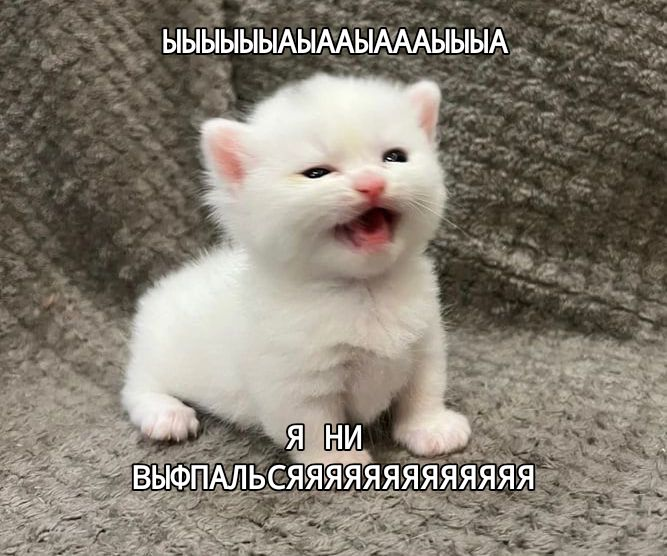 1779980782265.png