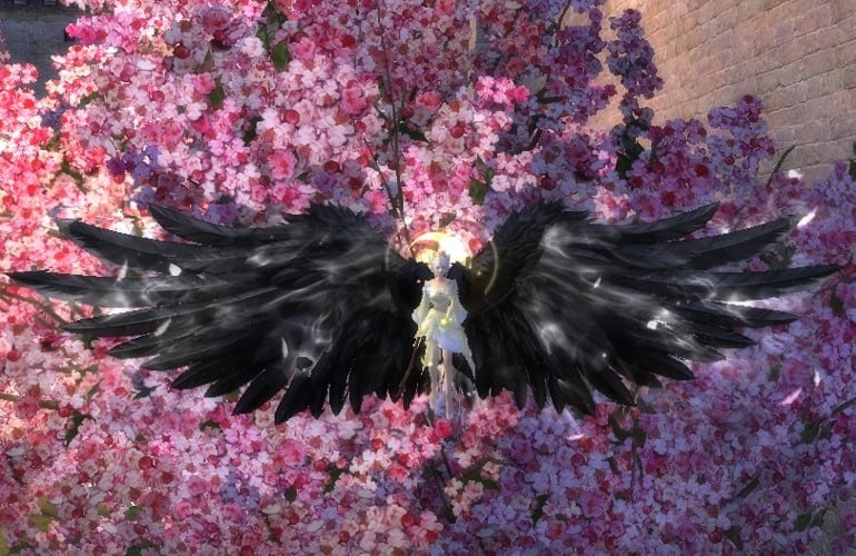 1779990494976.png