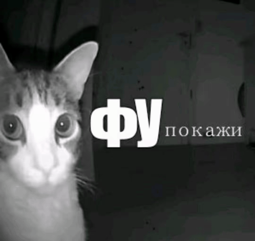 1780041685749.png