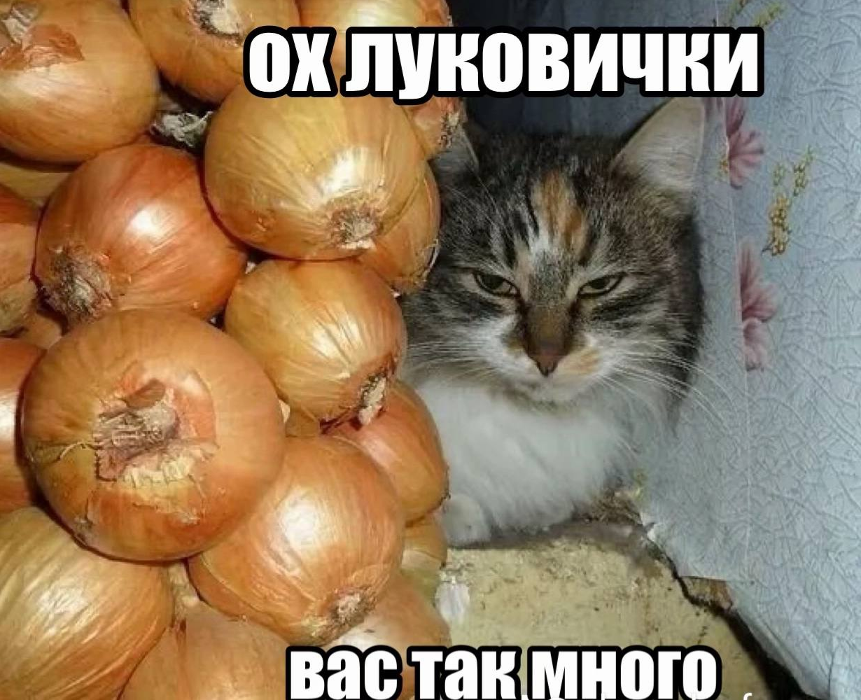 1780080276583.png