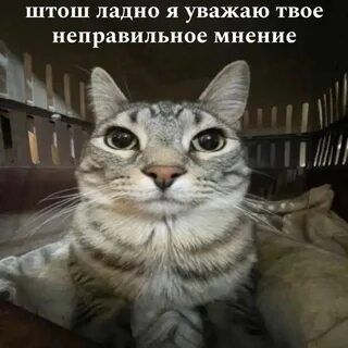 1780146017585.png