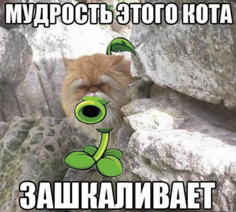 1780164561435.png