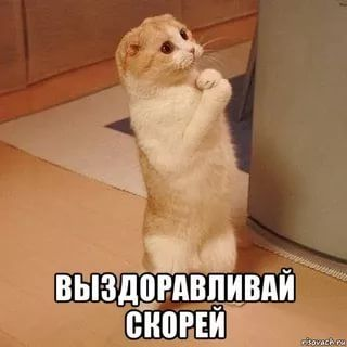 1780415985122.png