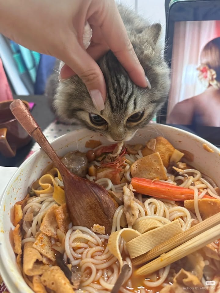 1780567193436.png