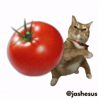 1780841880581.png