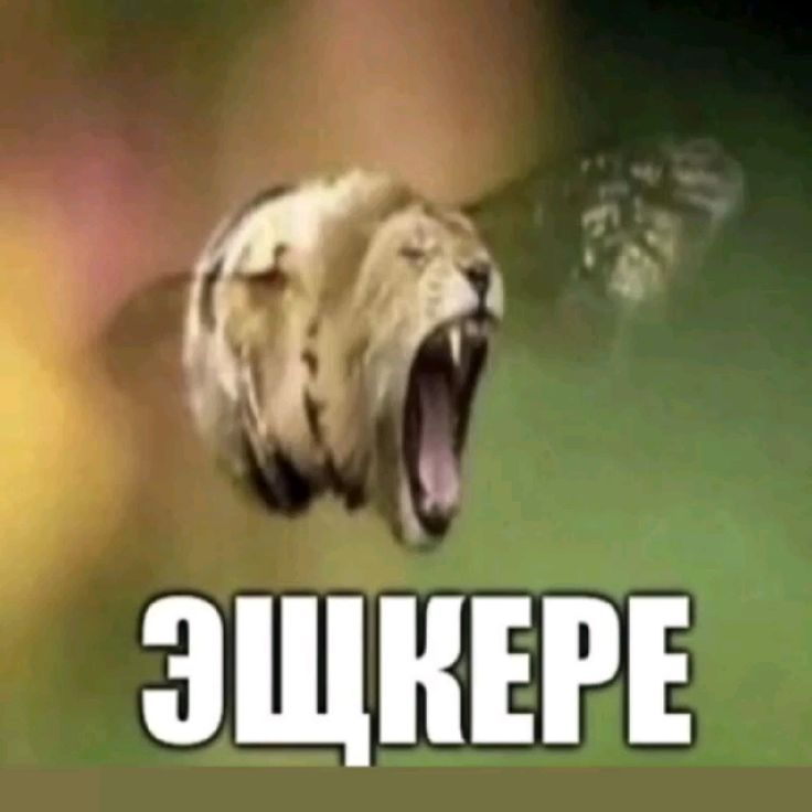 1780915767080.png