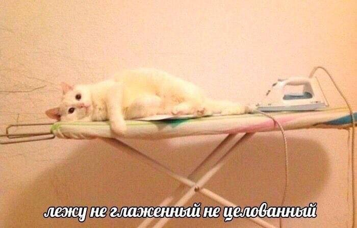 1780916254463.png